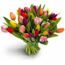 Multi-Color Tulip Bouquet "Amsterdam"(35)